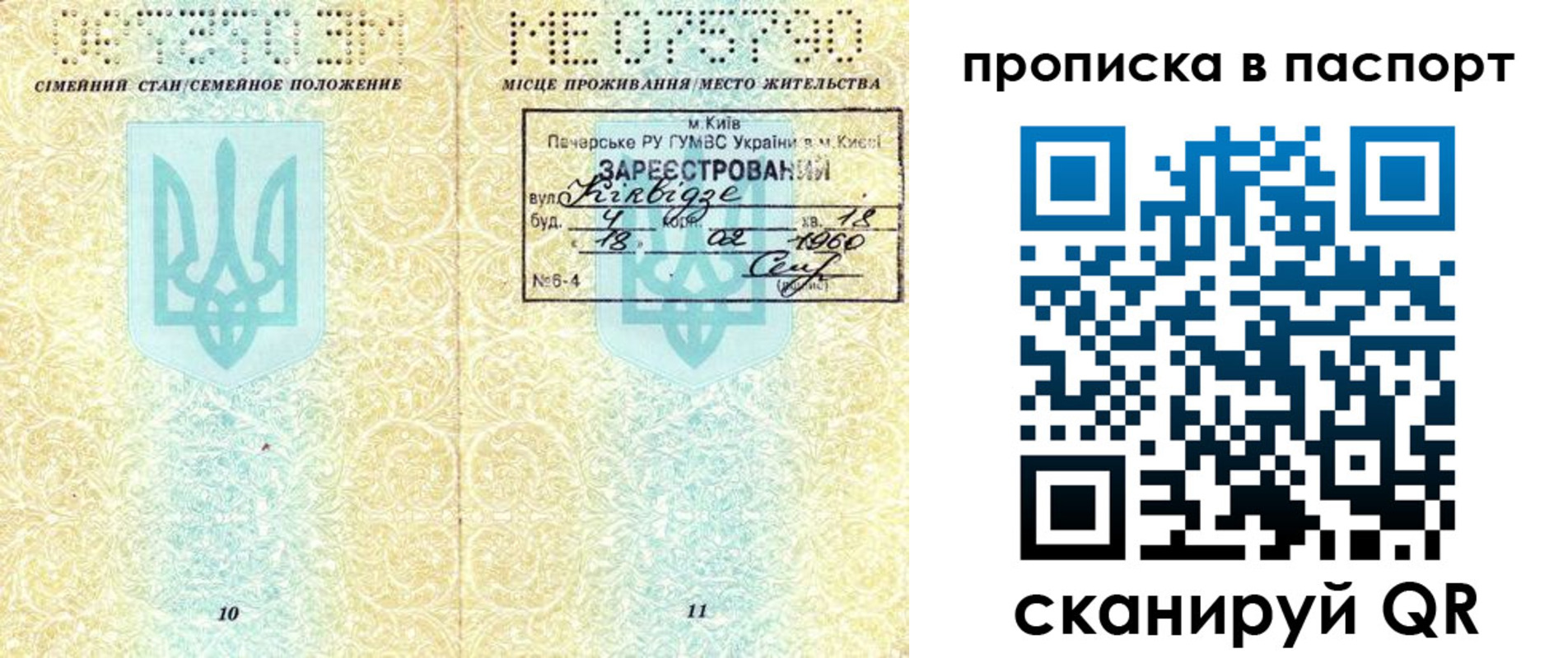 регистрация в Ростовской области